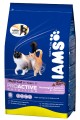 Сухой корм Iams Adult Multicat Chicken & Salmon для кошек всех пород старше 1 года (15 кг)