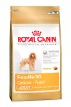 корм Royal Canin Poodle 30 Adult для собак породы Пудель старше 10 месяцев (1,5 кг)