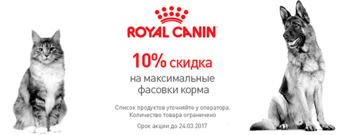 Скидка 10% на максимальные упаковки корма Роял Канин