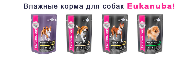 Влажные корма для собак Eukanuba