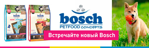 Изменение дизайна упаковки Bosch