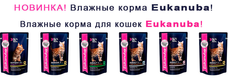 Влажные корма для кошек Eukanuba