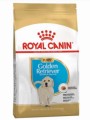 Корм Royal Canin Golden Retriever Junior для щенков голден ретривера до 15 месяцев (12 кг)