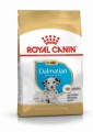 Корм Royal Canin Dalmatian Junior  для щенков породы далматин в возрасте до 15 месяцев (12кг)