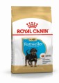 Корм Royal Canin Rottweiler Junior для щенков Ротвейлера до 18 месяцев (12кг)