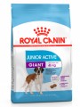 Корм Royal Canin Giant Junior Active для щенков крупных собак