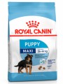 Сухой корм Royal Canin Maxi Junior для щенков крупных прод с 2 до 15/18 месяцев