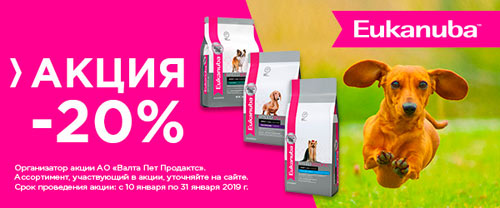 Скидка 20% на сухие корма Eukanuba для такс, чихуахуа и йоркширских терьеров