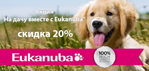 Скидка 20% на корма для собак Eukanuba!