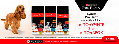 Акция! Купи ProPlan 12кг+2кг в подарок!