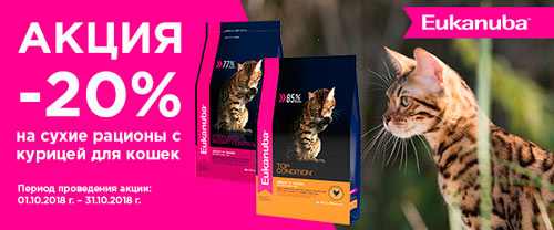 Скидка 20% на корма для кошек Eukanuba