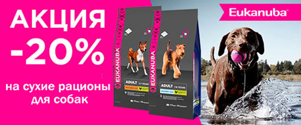 Скидка 20% на корма для собак Eukanuba