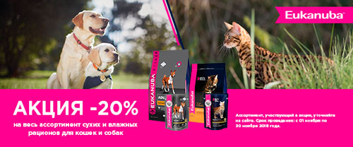 Скидка 20% на корма Eukanuba!