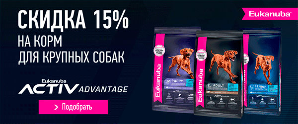 Скидка 15% на корм для собак Eukanuba Large Dog!