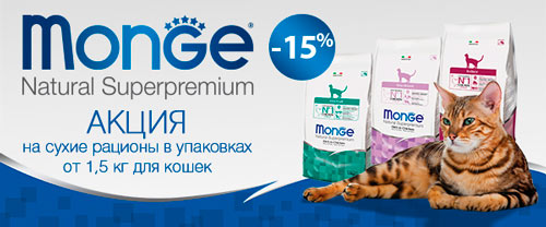 Скидка 15% на корма для кошек Monge Superpremium!