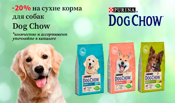 Скидка 20% на корма для собак Dog Chow!