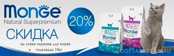 Скидка до 20% на корма для кошек Monge!