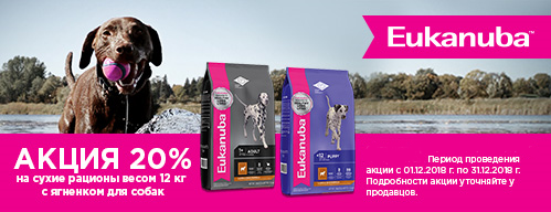 Скидка 20% на корма для собак Eukanuba с ягненком!